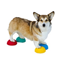 Balance Igel für Welpen und...