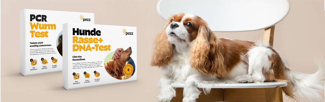 Hunde Wurmtest PCR